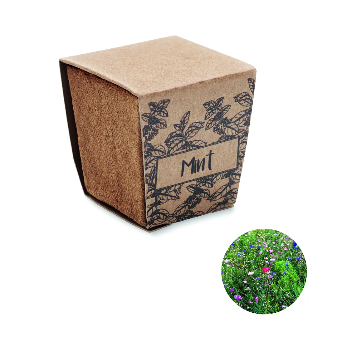 Producto personalizable MINT KIT