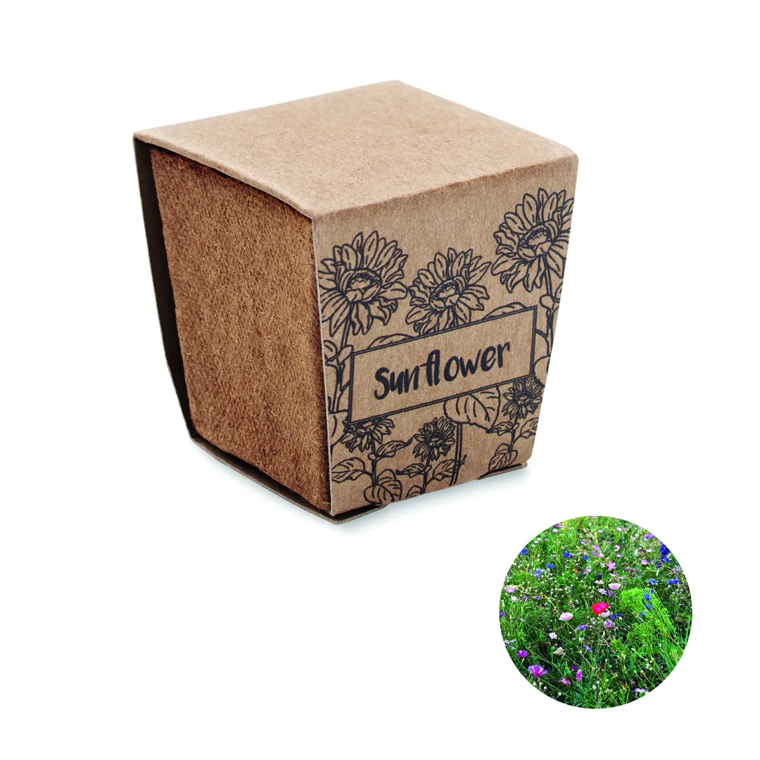 Producto personalizable SUNFLOWER KIT