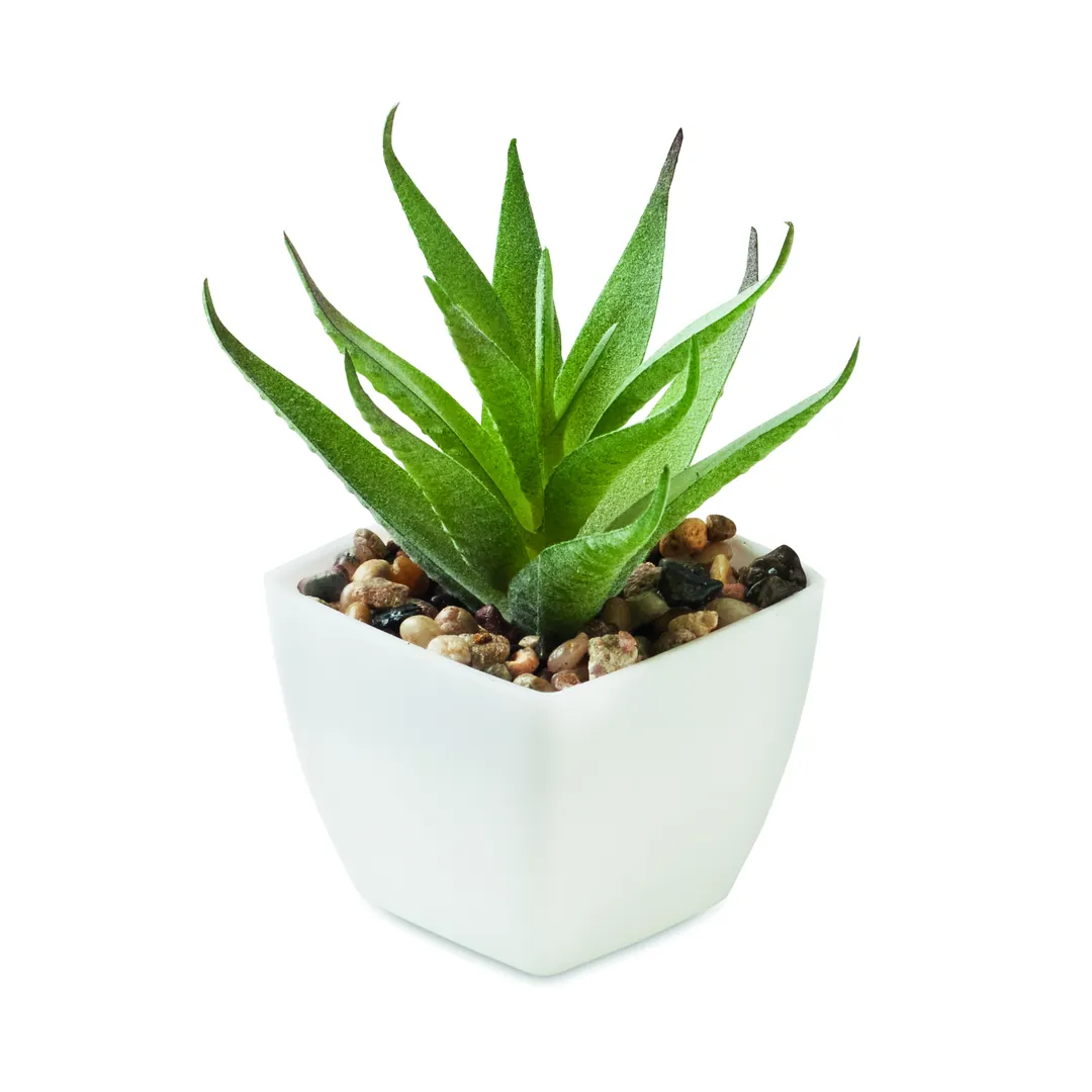 Producto personalizable ARTILOE