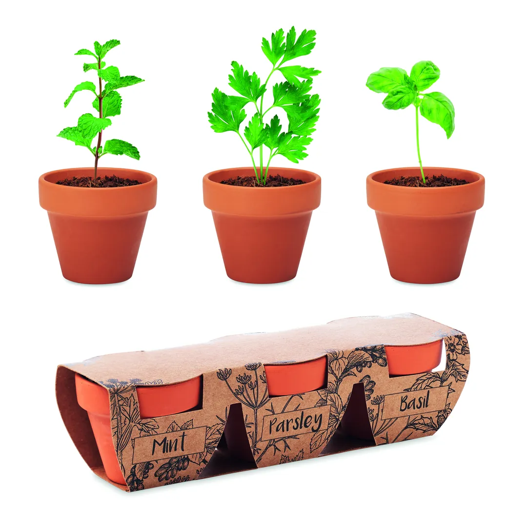 Producto personalizable FLOWERPOT