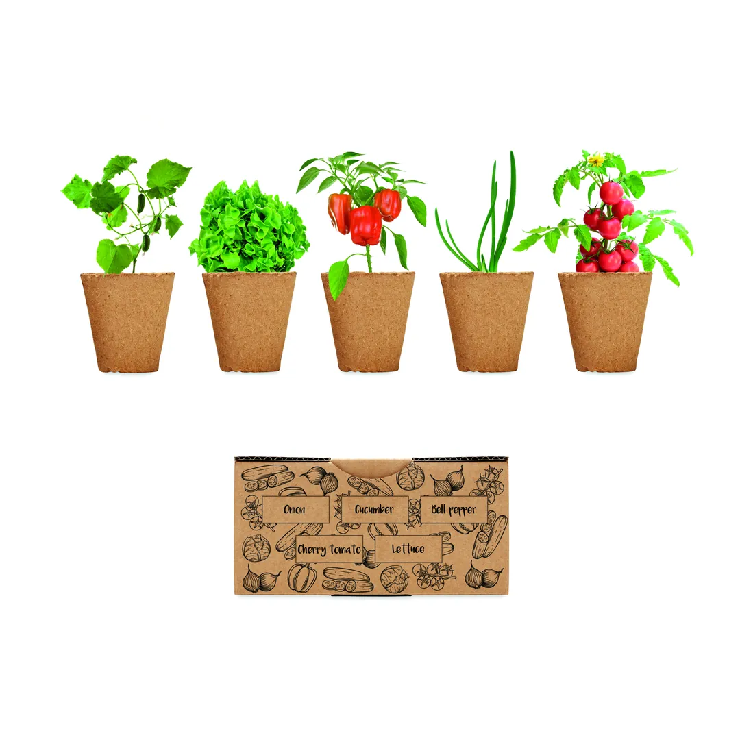 Producto personalizable SALAD