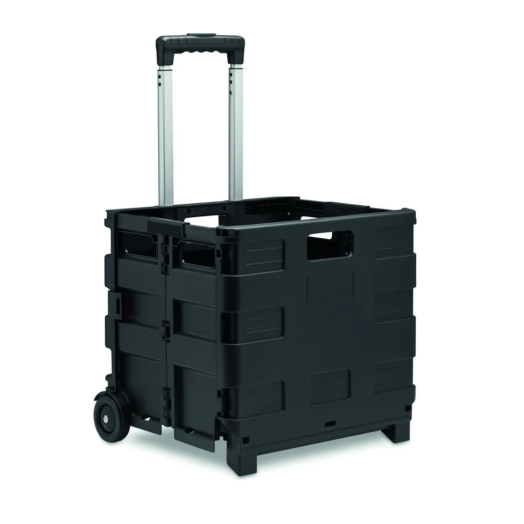 Producto personalizable CARRO