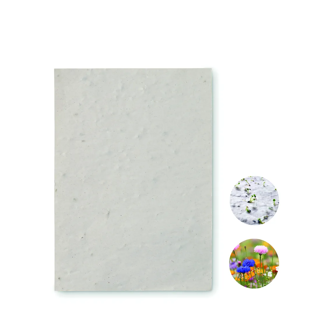 Producto personalizable ASIDO