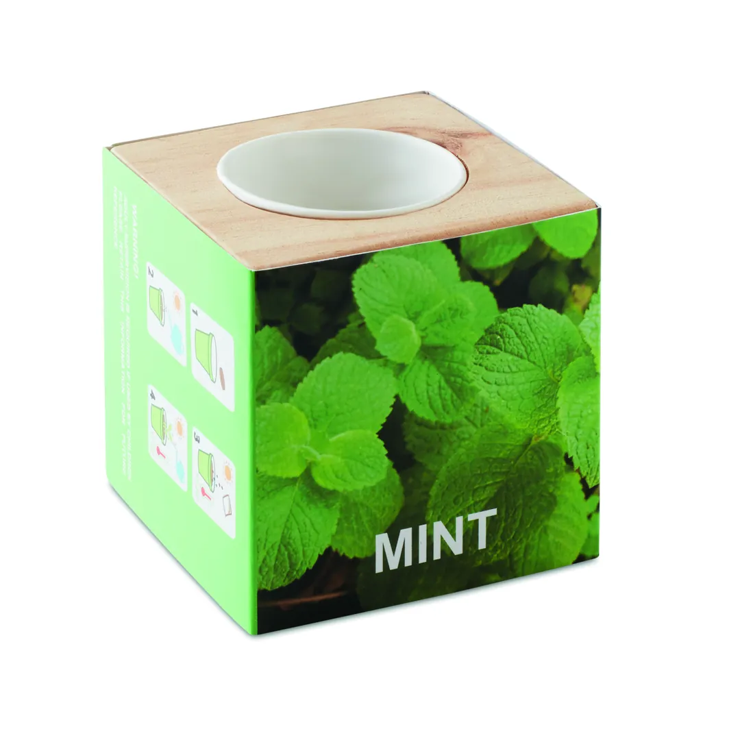 Producto personalizable MENTA