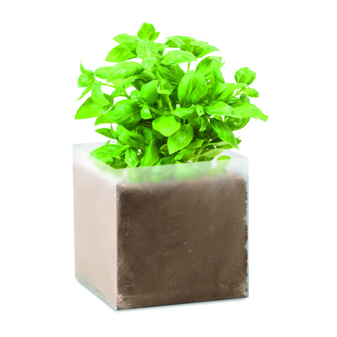 Producto personalizable BASIL