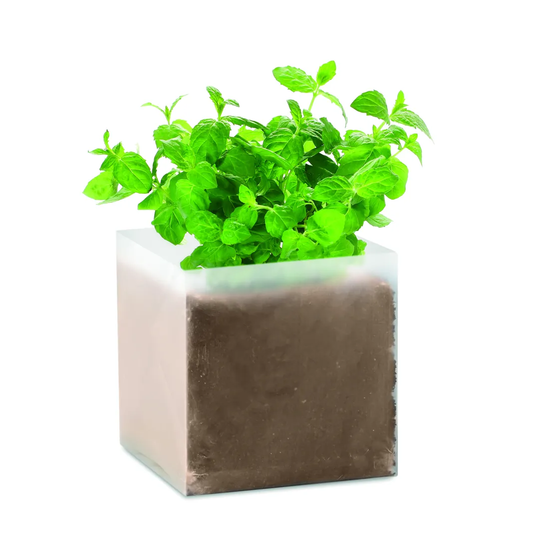 Producto personalizable MINT